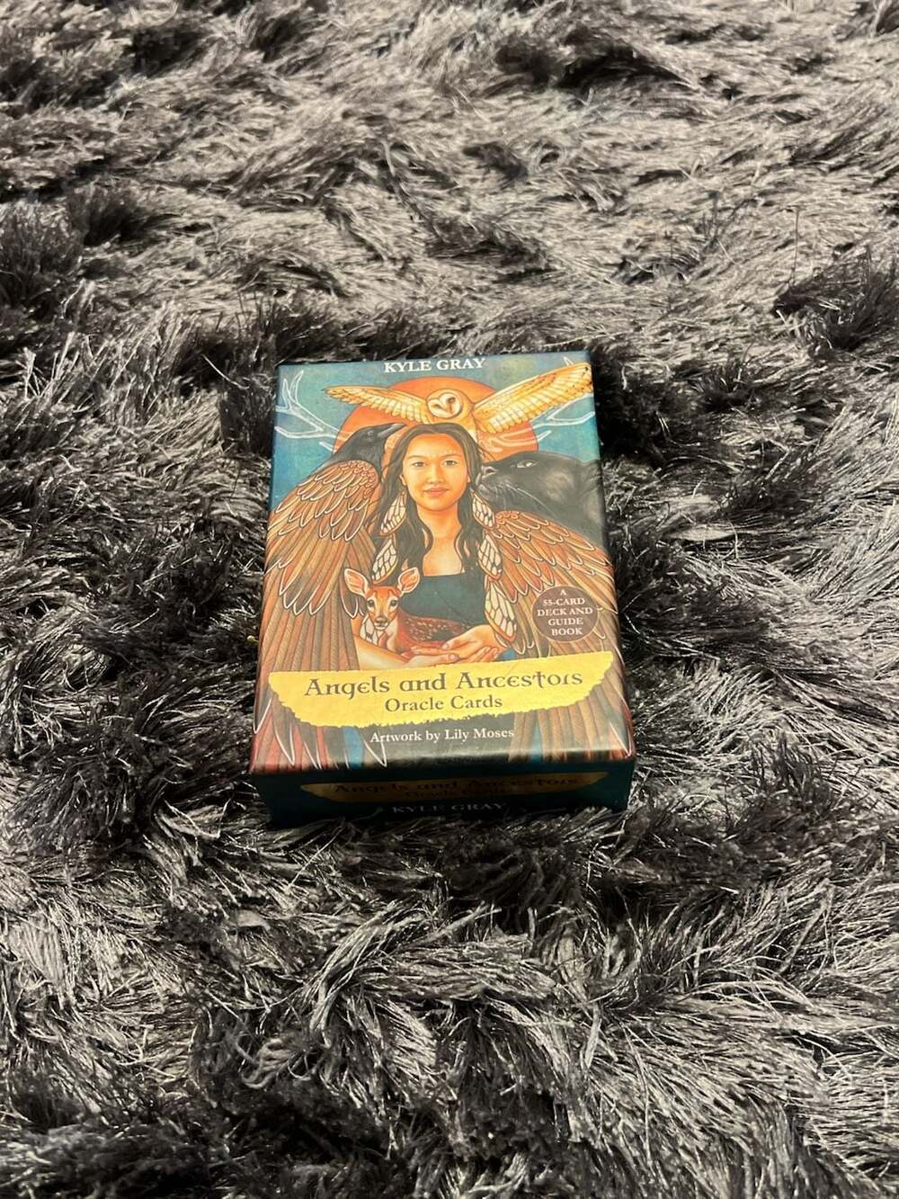 Angels and Ancestors Oracle Cards: A 55-Card Deck and Guidebook by Kyle Gray